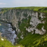 Bempton Cliffs, UK